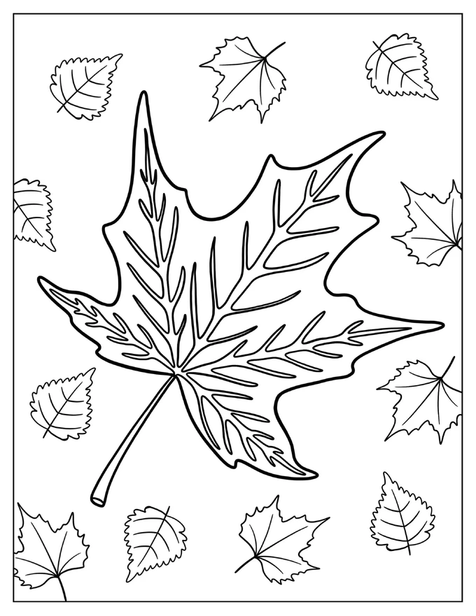 Realistic Maple Leaf In Fall Coloring Page