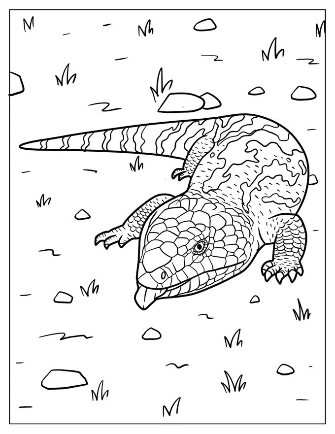 Scaly Blue Tongued Skink On Ground Coloring Page