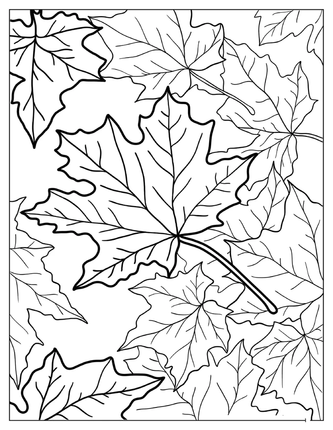 Full Page Fall Maple Leaves