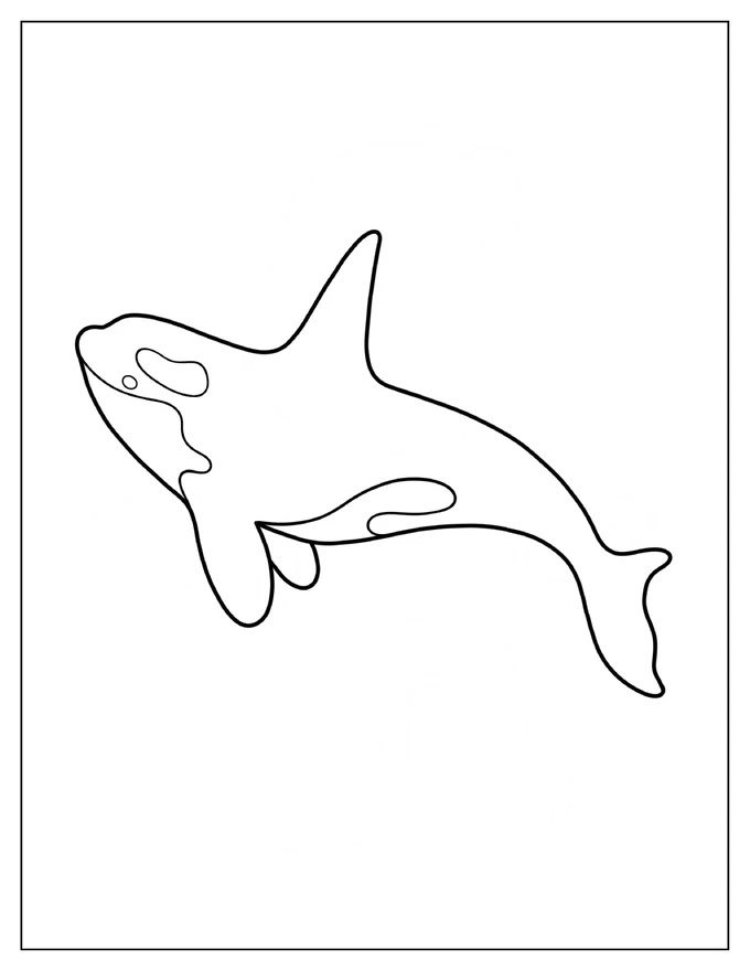 Easy Orca Outline Coloring Page For Kids