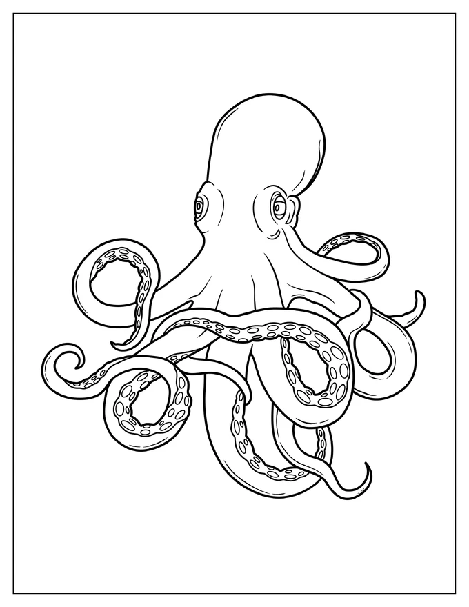 Pacific Octopus Outline Coloring Page