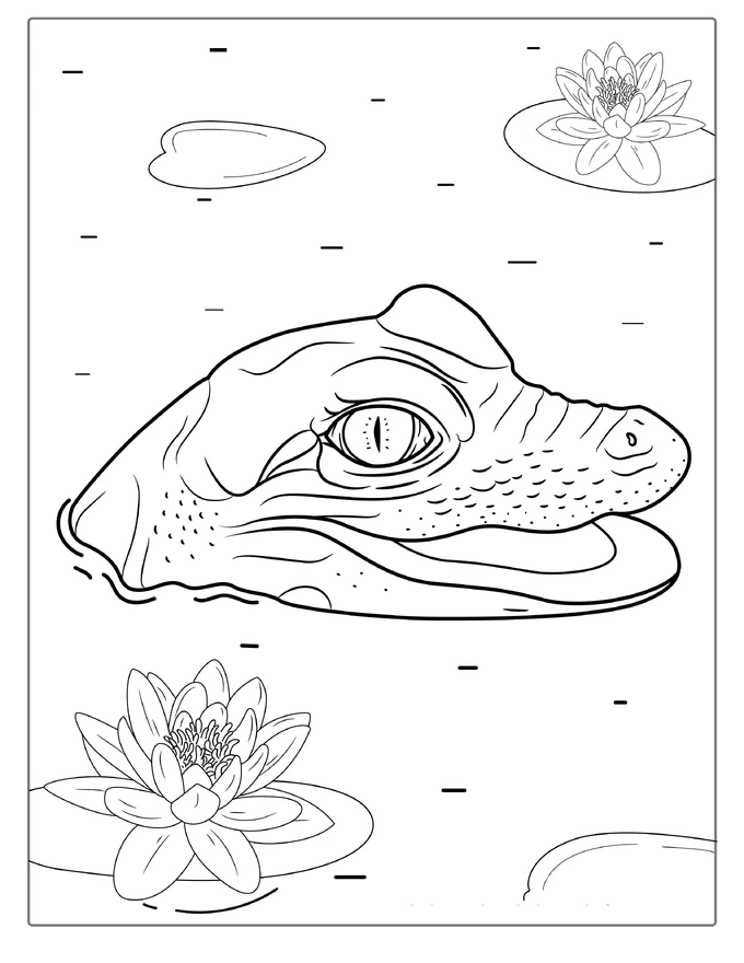 Coloring Page Of Baby Crocodile Poking Head Out Of Water