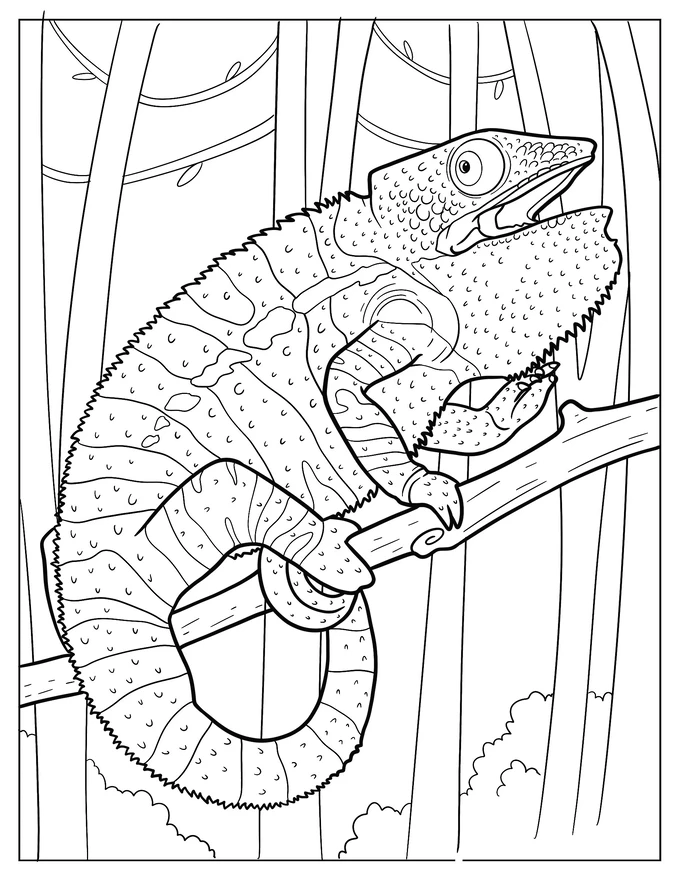 Panther Chameleon In The Forest Coloring Page