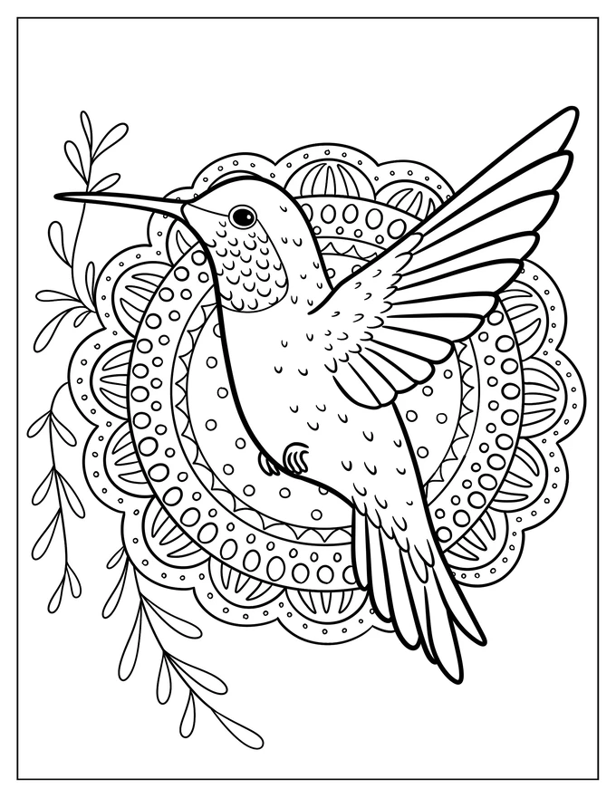 Cartoon Hummingbird In Front Of A Cute Mandala Coloring Sheet For Kids