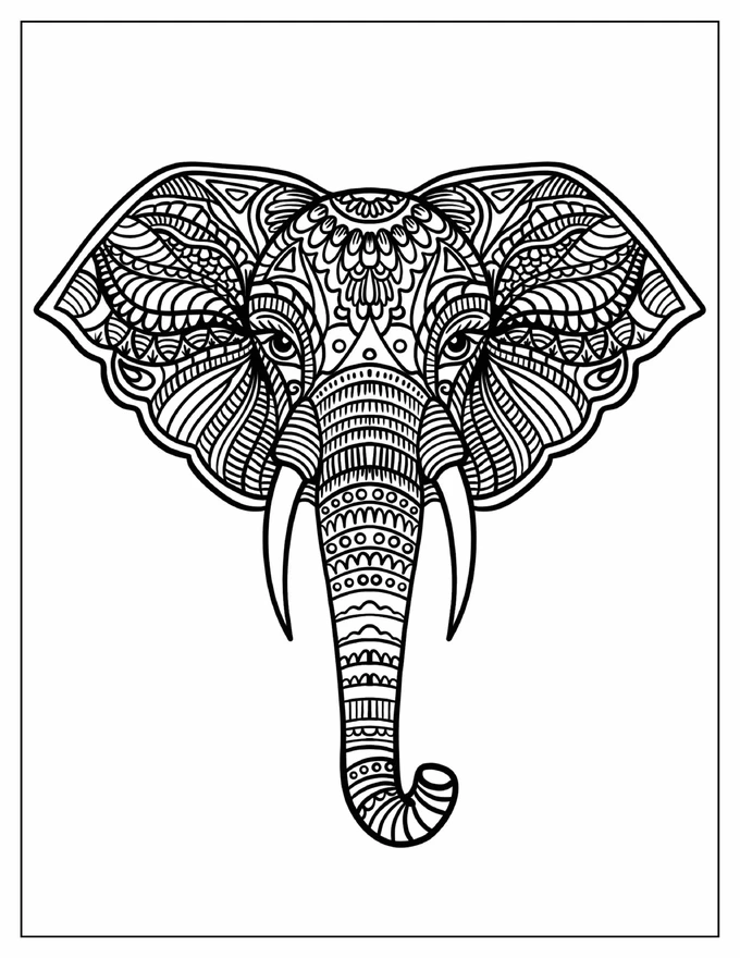 Baby Elephant Head Zentangle