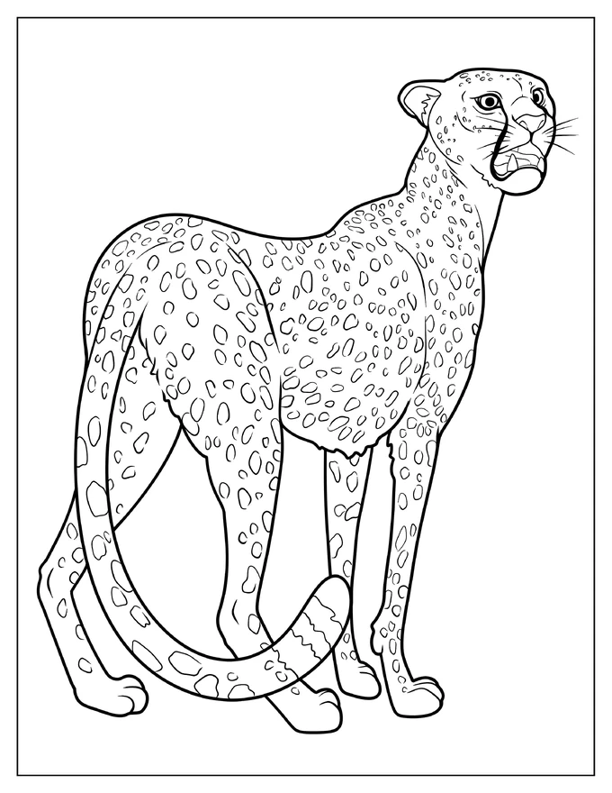 Simple Cheetah Looking Back Coloring Page For Kids