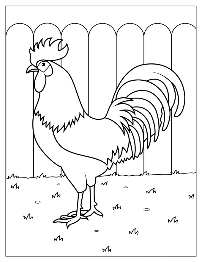 Head Farm Rooster To Color