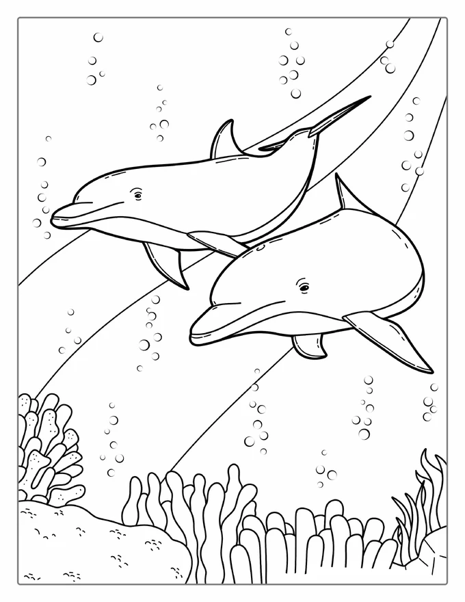 Two Dolphins Swimming On Reef Coloring Page