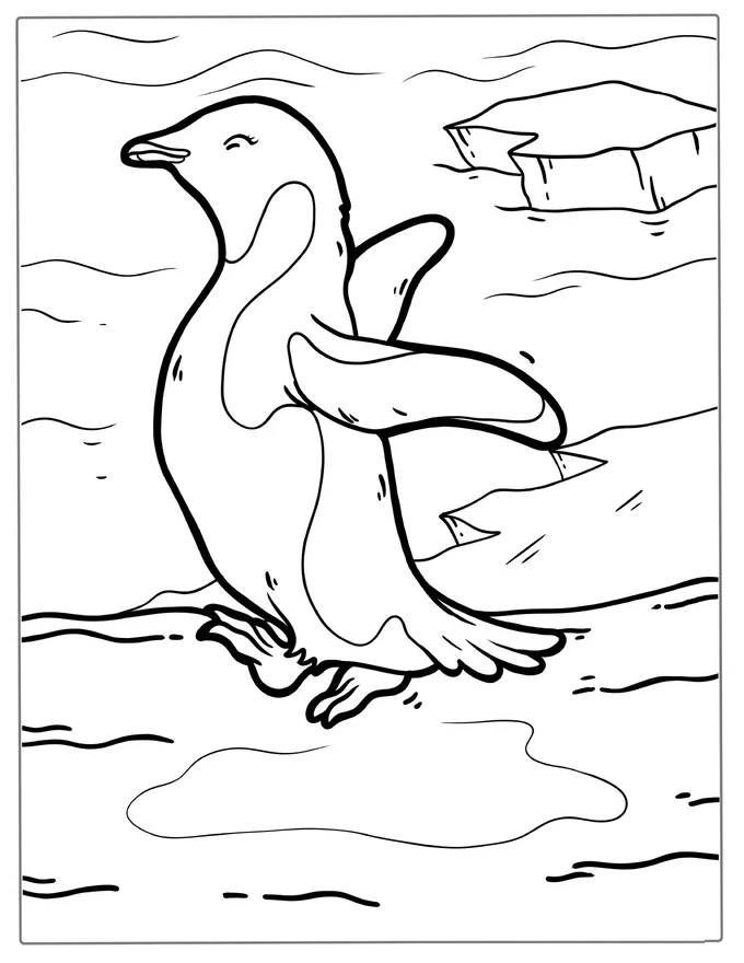 Adelie Penguin Coloring Page