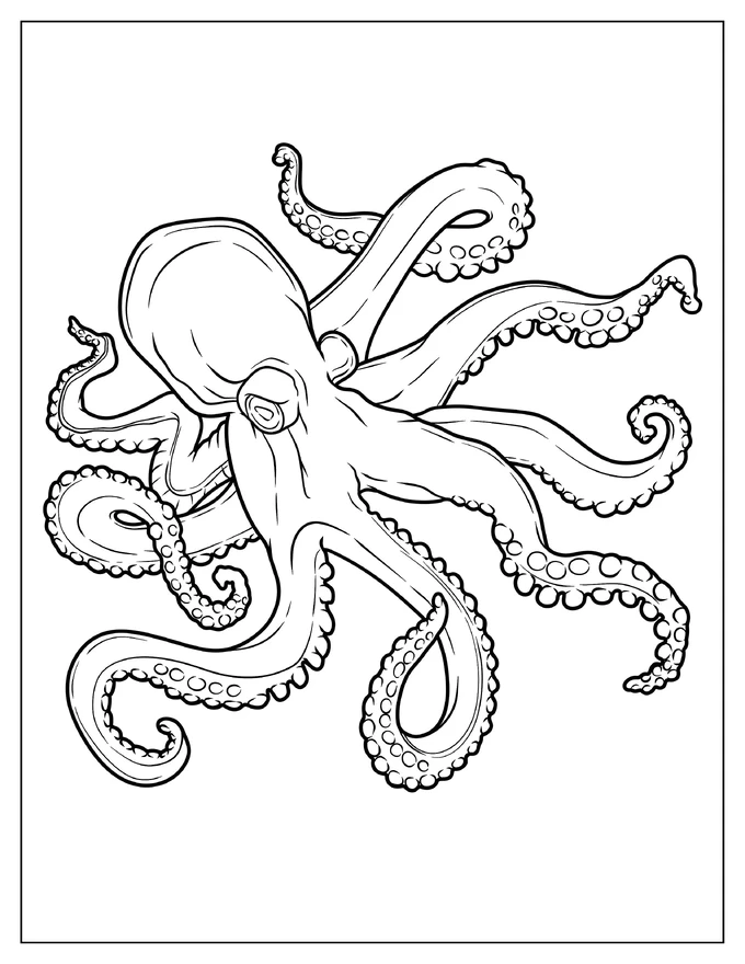 Realistic Octopus Outline Coloring Page