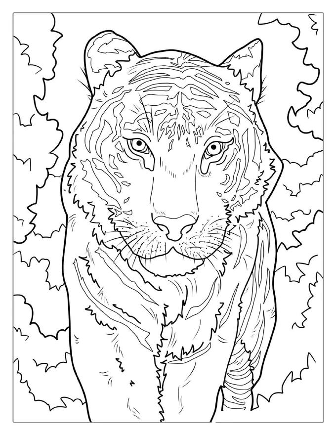 White Tiger Coloring Page