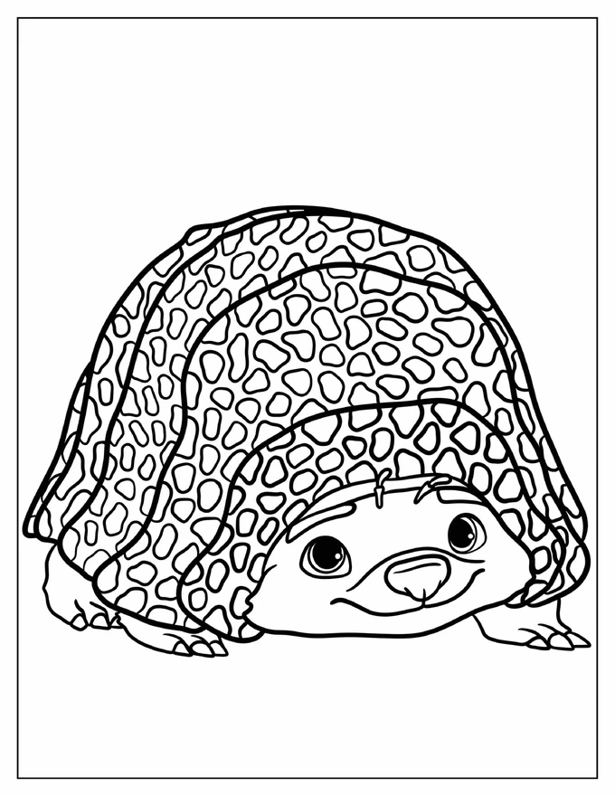 Kawaii Tuk Tuk The Armadillo Coloring Sheet For Kids