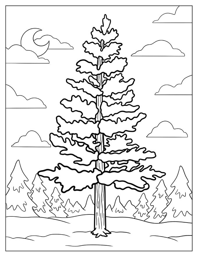 Pine Tree Coloring Page