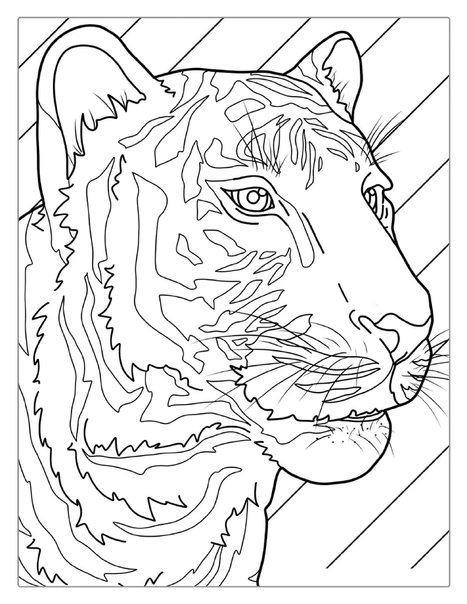 Tiger Head With Whiskers Coloring