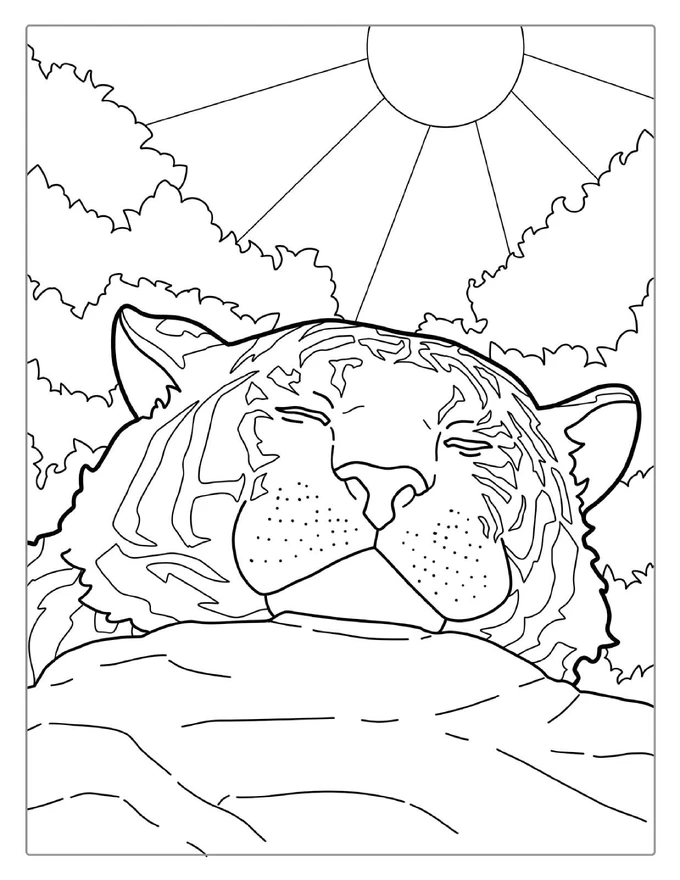 Tiger Enjoying The Warm Sun Coloring Page