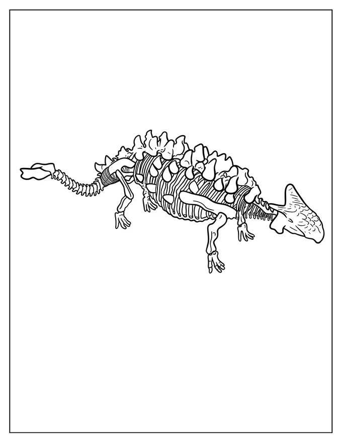 Simple Ankylosaurus Skeleton