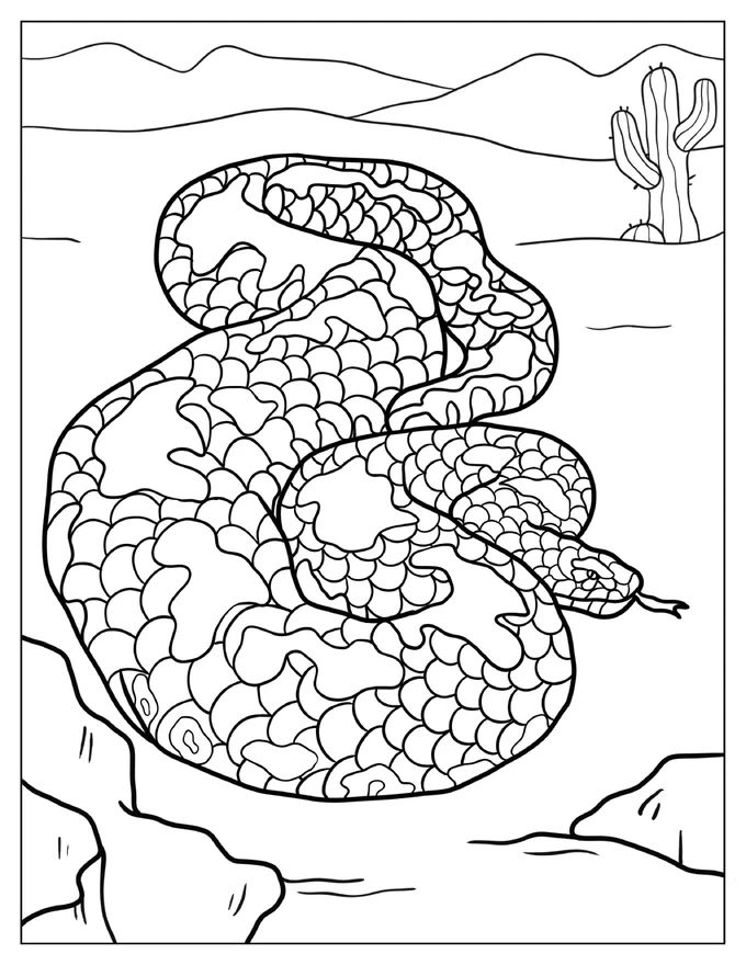 Boa Constrictor Snake To Color