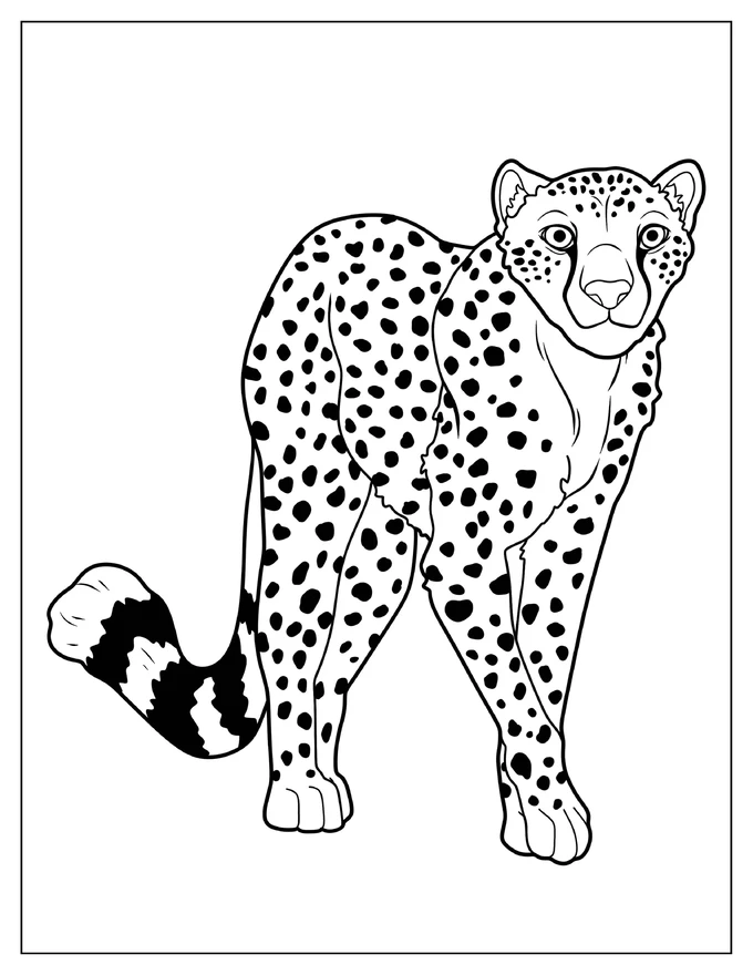 Easy Outline Of Friendly Cheetah