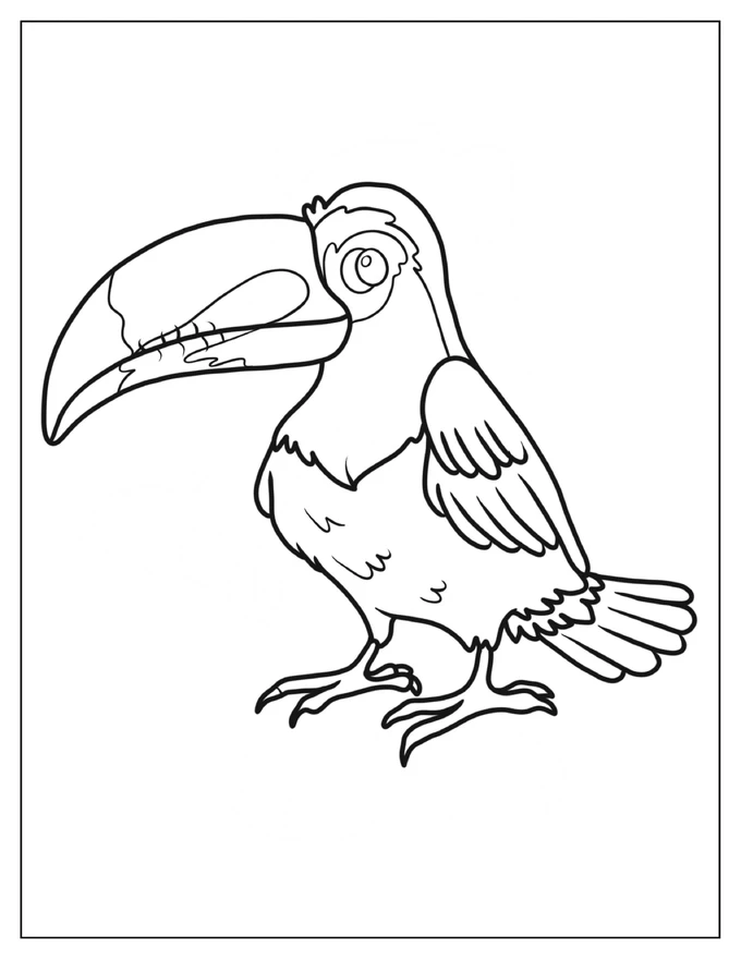 Detailed Adult Toucan